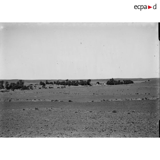 1003. Vue générale de l'oasis. [légende d'origine]