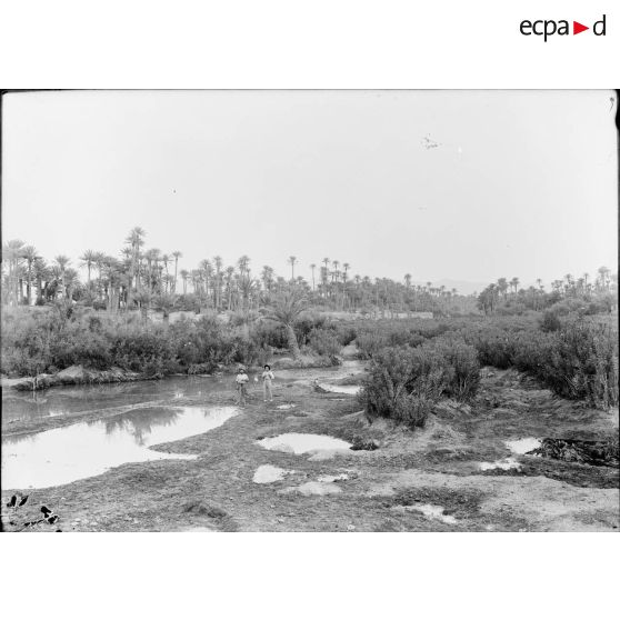 699. L'oued en dessous du barrage. [légende d'origine]