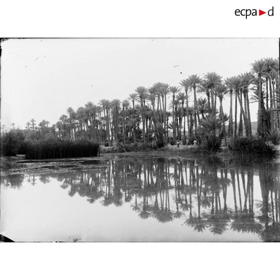 700. L'oued en amont du barrage. [légende d'origine]