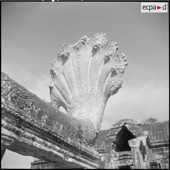 Nâga à sept têtes, détail sculpté à Angkor Wat.