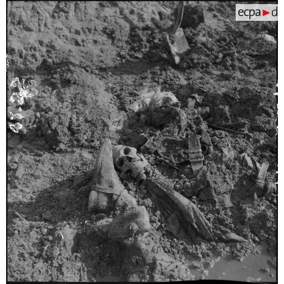 Exhumation de cadavres sur le charnier de Langson.