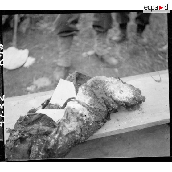 Exhumation de cadavres sur le charnier de Langson.