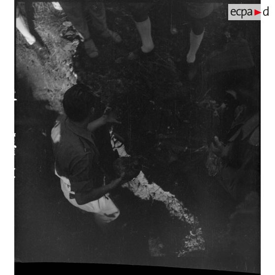 Exhumation de cadavres sur le charnier de Langson.