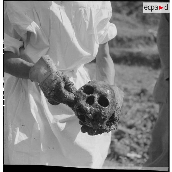 Exhumation de cadavres sur le charnier de Langson.