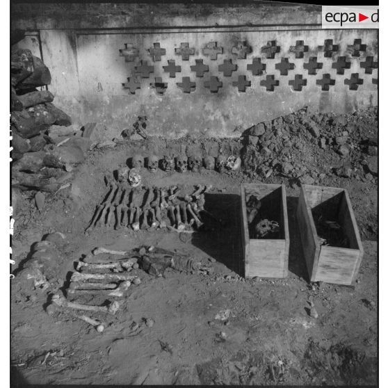 Exhumation de cadavres sur le charnier de Langson.