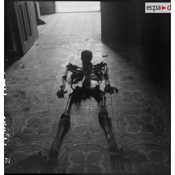 Exhumation de cadavres sur le charnier de Langson.