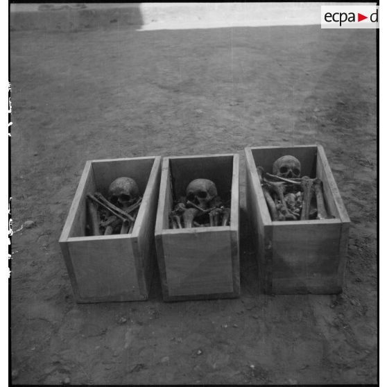 Exhumation de cadavres sur le charnier de Langson.
