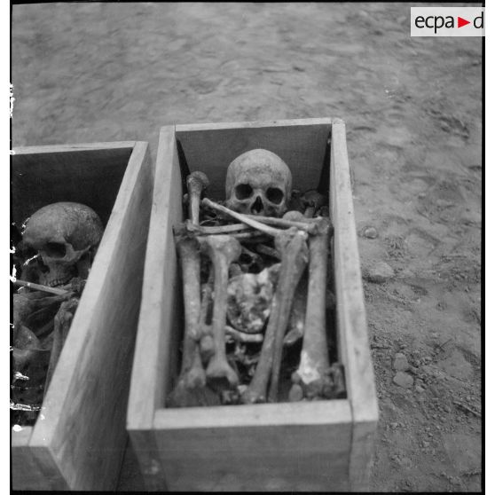Exhumation de cadavres sur le charnier de Langson.