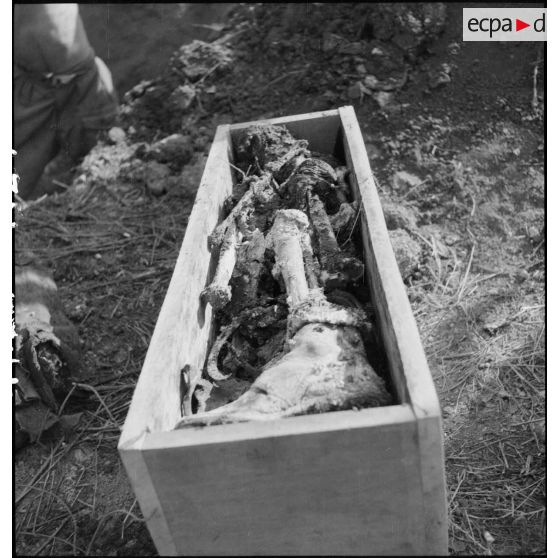 Exhumation de cadavres sur le charnier de Langson.