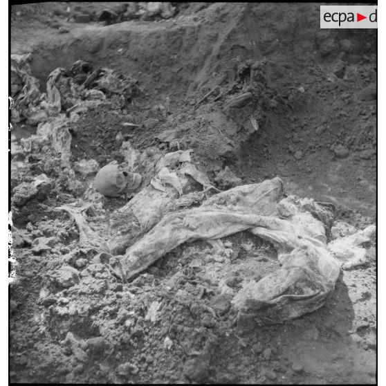 Exhumation de cadavres sur le charnier de Langson.