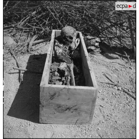 Exhumation de cadavres sur le charnier de Langson.