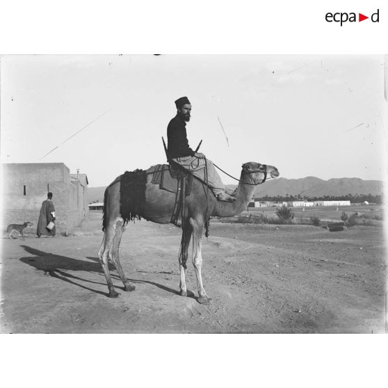 1176. Le maitre sellier du Touat à chameau. [légende d'origine]
