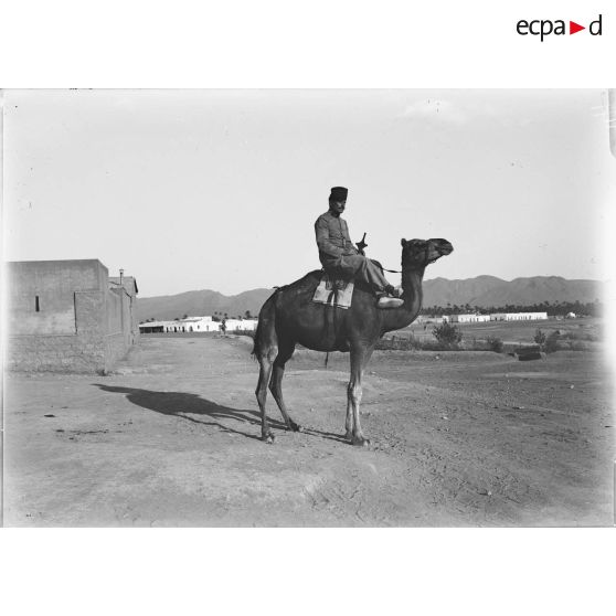 1177. Artilleur du Touat à chameau. [légende d'origine]