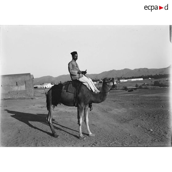 1179. Caporal télégraphiste du Touat à chameau. [légende d'origine]
