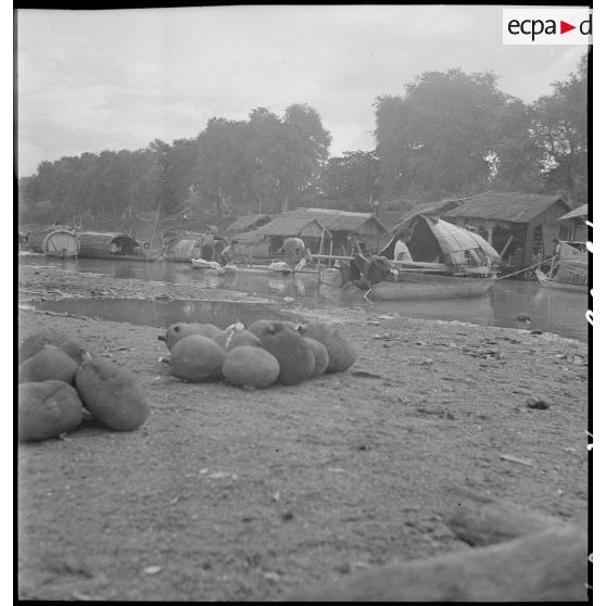 Sampans sur une berge de la rivière Bassac à Phnom Penh