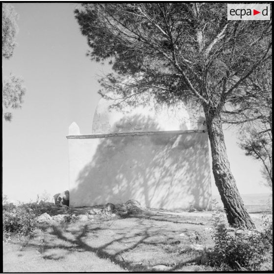 Opération dans le Djebel. [Description en cours]