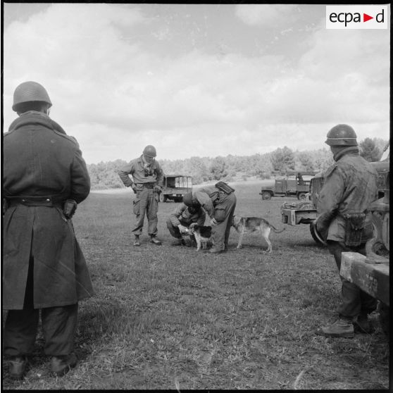 Opération dans le Djebel. [Description en cours]