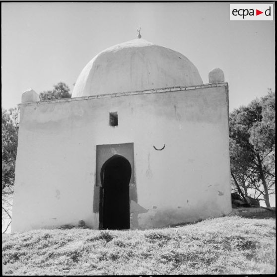 Opération dans le Djebel. [Description en cours]