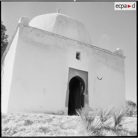 Opération dans le Djebel. [Description en cours]