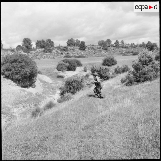 Opération dans le Djebel. [Description en cours]