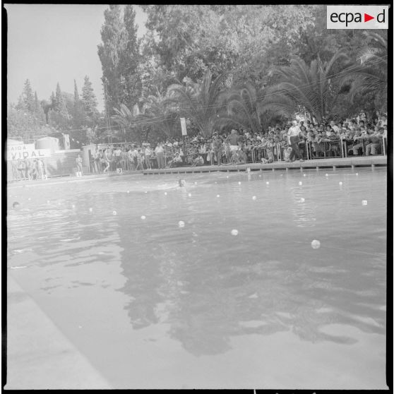 Compétition de natation à la piscine à Saïda. [Description en cours]