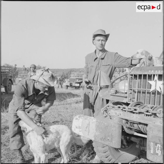 Rassemblement lors d'une opération dans le djebel. [Description en cours]