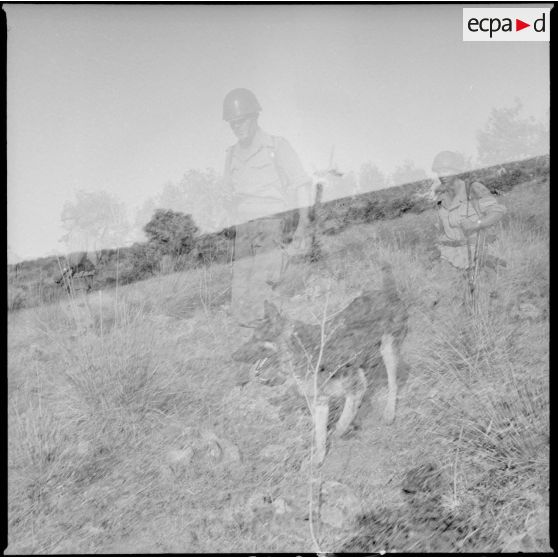 En opération dans le djebel. [Description en cours]