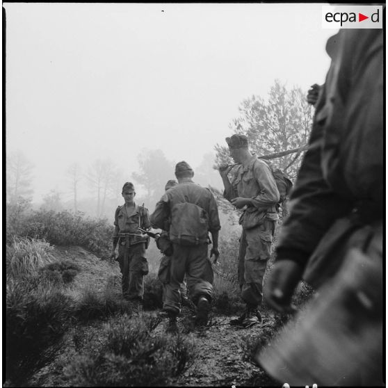 Commandos Cobra en opération. [Description en cours]