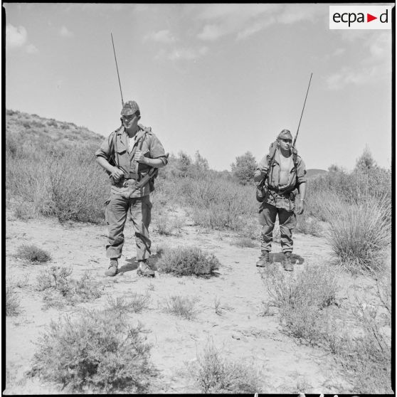 Commandos Cobra en opération. [Description en cours]