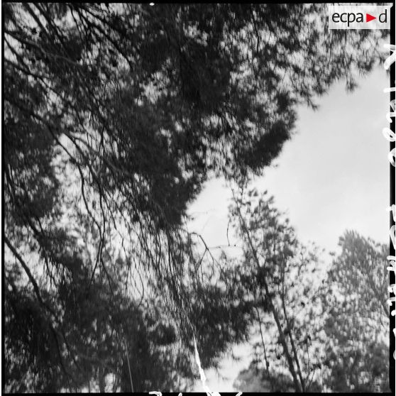 Paysages. [Description en cours]