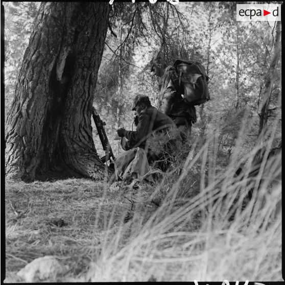 Commandos Cobra en opération. [Description en cours]