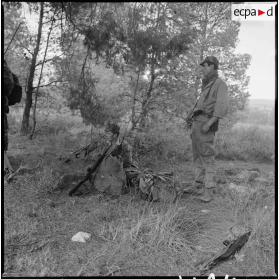 Commandos Cobra en opération. [Description en cours]