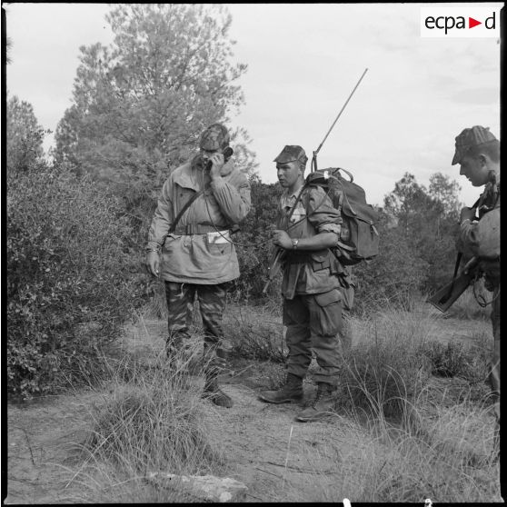 Commandos Cobra en opération. [Description en cours]