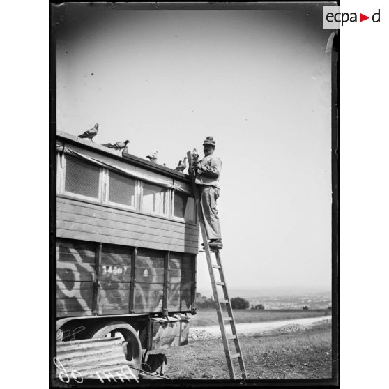 Nancy, distribution de grains aux pigeons. [légende d'origine]