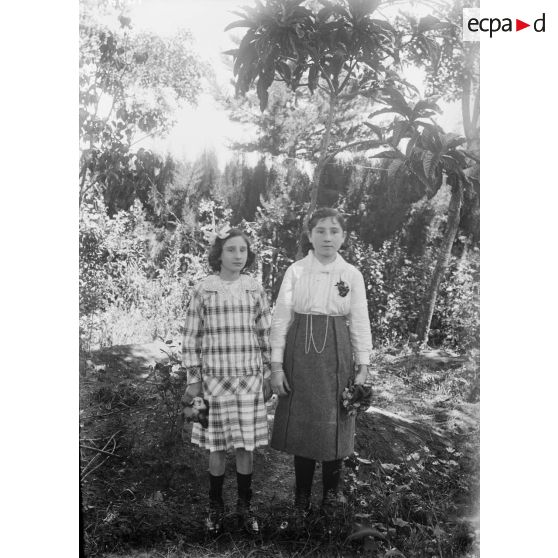 1496. Mesdemoiselles Bogen. [légende d'origine]