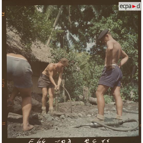 Chantiers dans la cocoteraie à Mahina.[Description en cours]