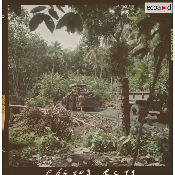 Chantiers dans la cocoteraie à Mahina.[Description en cours]