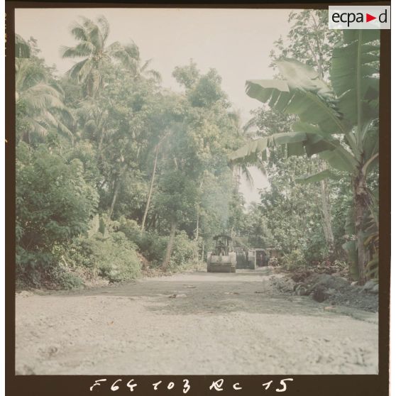 Chantiers dans la cocoteraie à Mahina.[Description en cours]