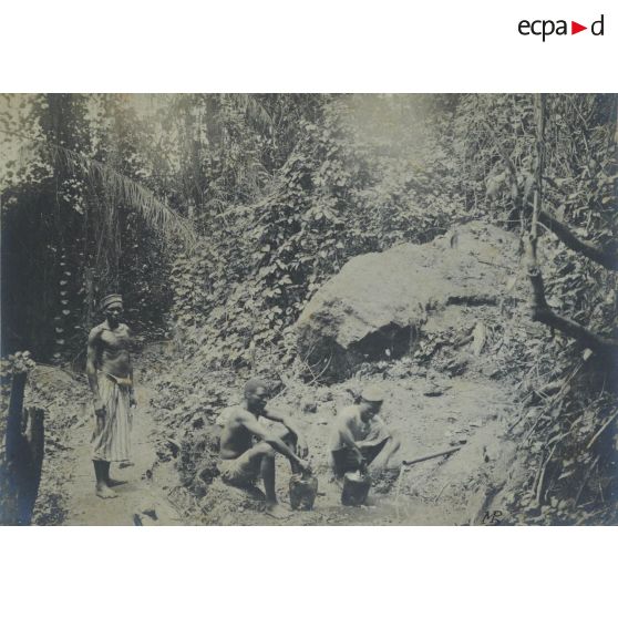 Sources de Dan. [légende d'origine ]<br>