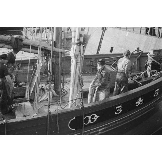 A Douarnenez, déchargement des bateaux de pêche dans le port.