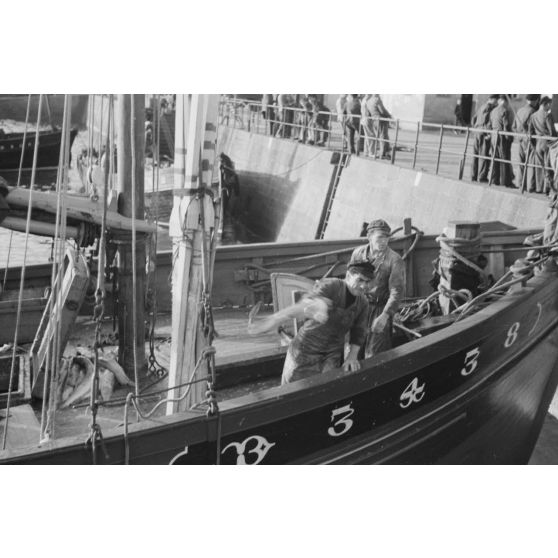 A Douarnenez, déchargement des bateaux de pêche dans le port.