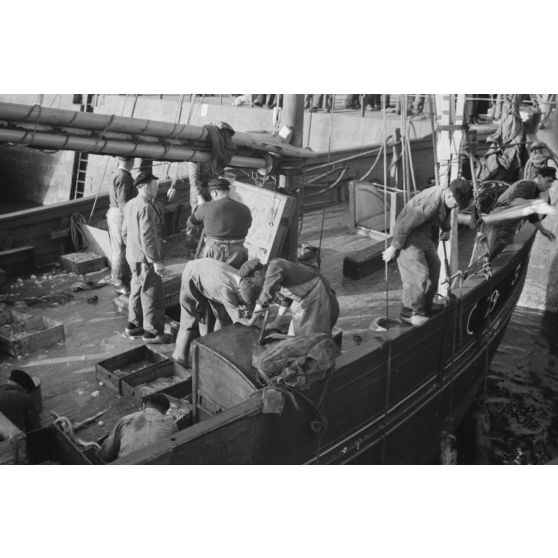 A Douarnenez, déchargement des bateaux de pêche dans le port.