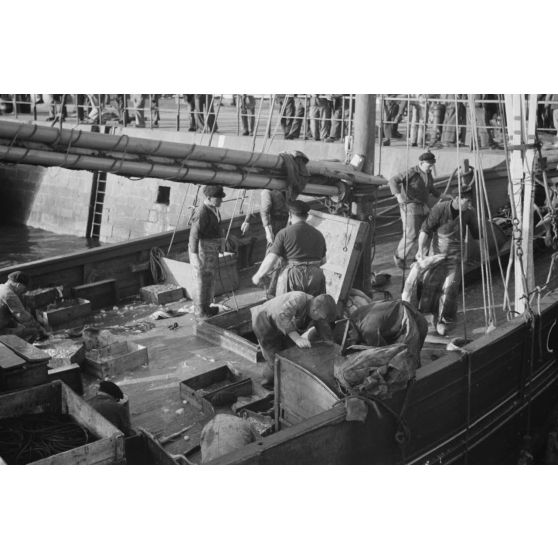 A Douarnenez, déchargement des bateaux de pêche dans le port.