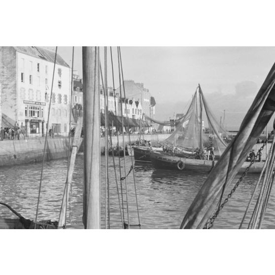 Arrivée au port de Douarnenez des bateaux de pêche.