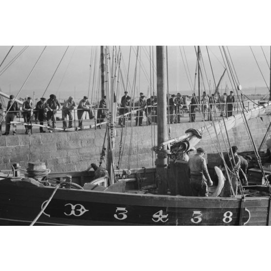 A Douarnenez, déchargement des bateaux de pêche dans le port.