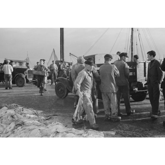 Déchargement des poissons lors du retour des pêcheurs au port de Douarnenez.