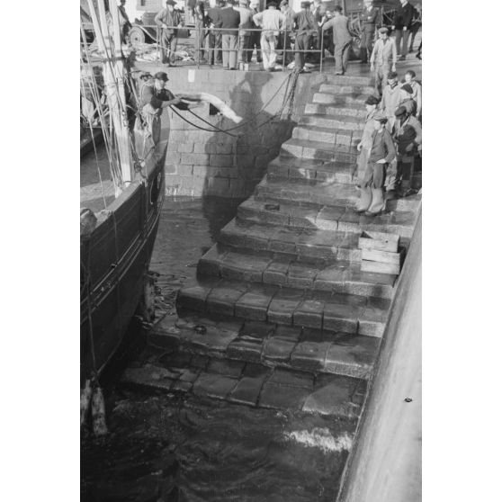 Déchargement des poissons lors du retour des pêcheurs au port de Douarnenez.