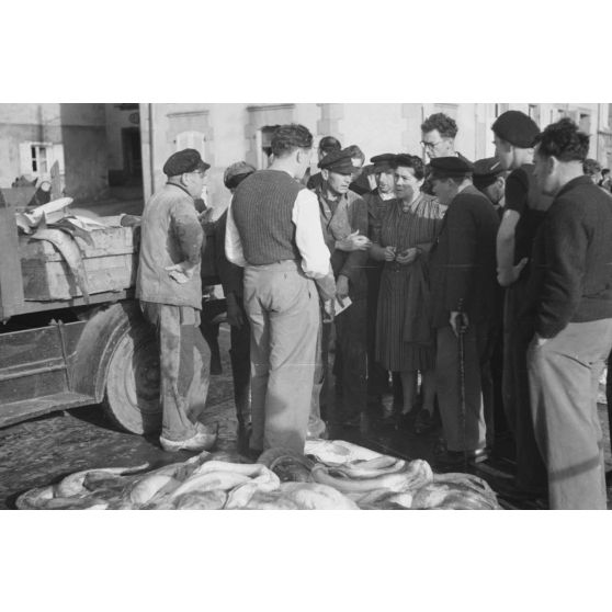 Une femme interroge les pêcheurs peu après le déchargement des poissons sur le port de Douarnenez.