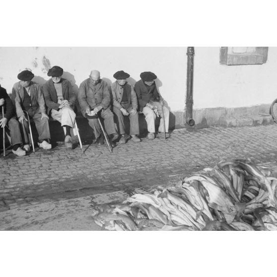Des hommes âgés devant la pêche qui vient d'être déchargée dans le port de Douarnenez.