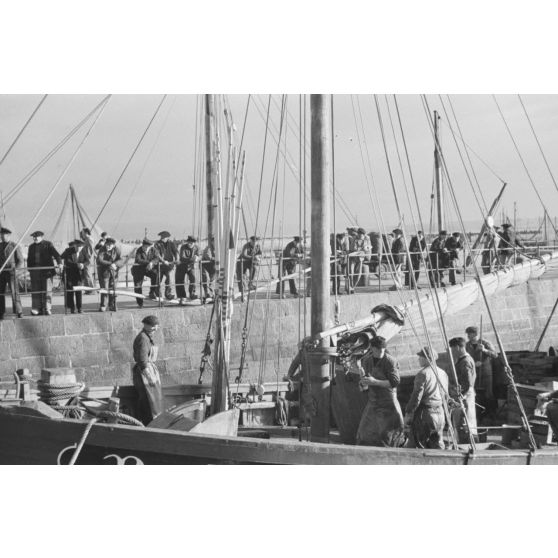 A Douarnenez, déchargement des bateaux de pêche dans le port.